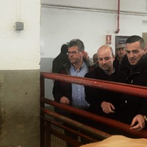 Ciudadanos presenta una iniciativa en las Cortes para reducir el tiempo y abaratar las pruebas para la tuberculosis bovina
