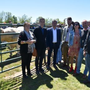David Castaño: “Debemos apostar por un sector agrario sostenible, competitivo y basado en la innovación” David Castaño: “Debemos apostar por un sector agrario sostenible, competitivo y basado en la innovación”