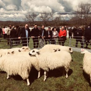 Ciudadanos insta a la Diputación a promocionar de forma más contundente las ferias agro-ganaderas de Salamanca